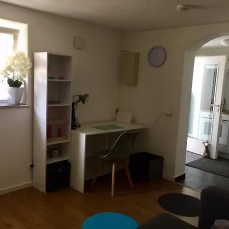 Ruhig Gelegene In Stadtnaehe Apartment Mosbach (Neckar-Odenwald)